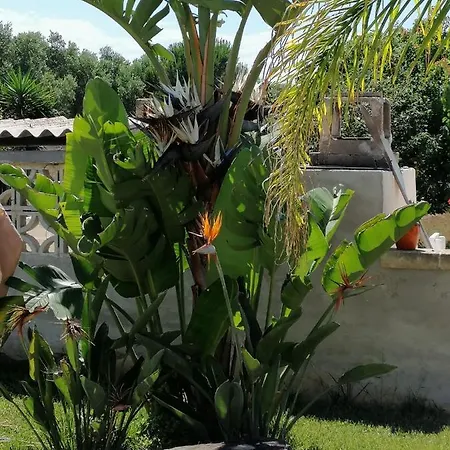 Guest house Campomarino Vacanze Maruggio