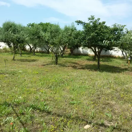 Campomarino Vacanze Guest house *